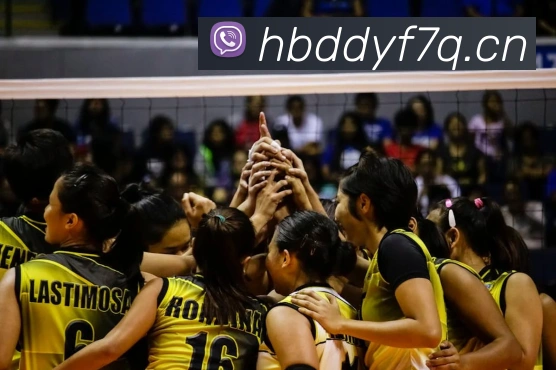 mksports足球直播平台生态图